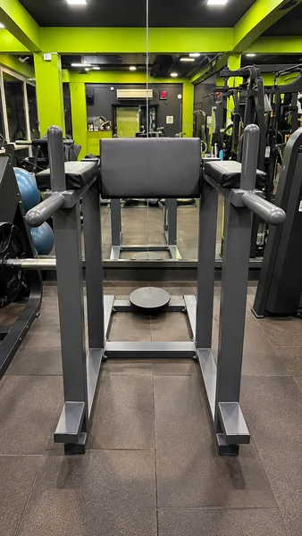 Captains chair vertical knee raise dip station and twister at Power House Gym